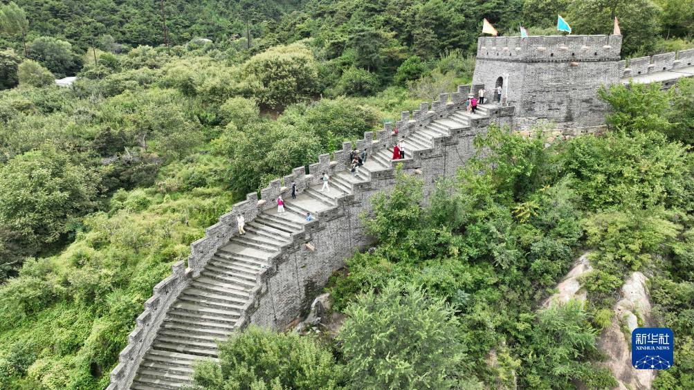 打金花软件下载